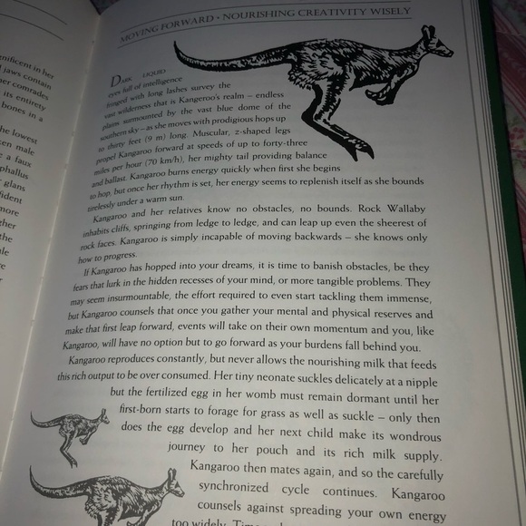 Animal Wisdom Book by Susie Green - Picture 8 of 9